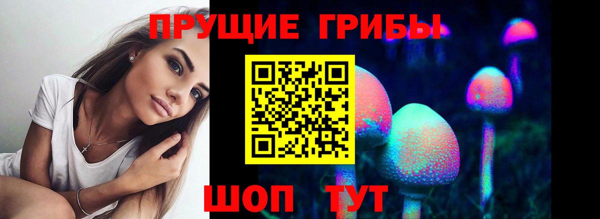 Знаменск  Псилоцибиновые грибы мухоморы  Вход с VPN 